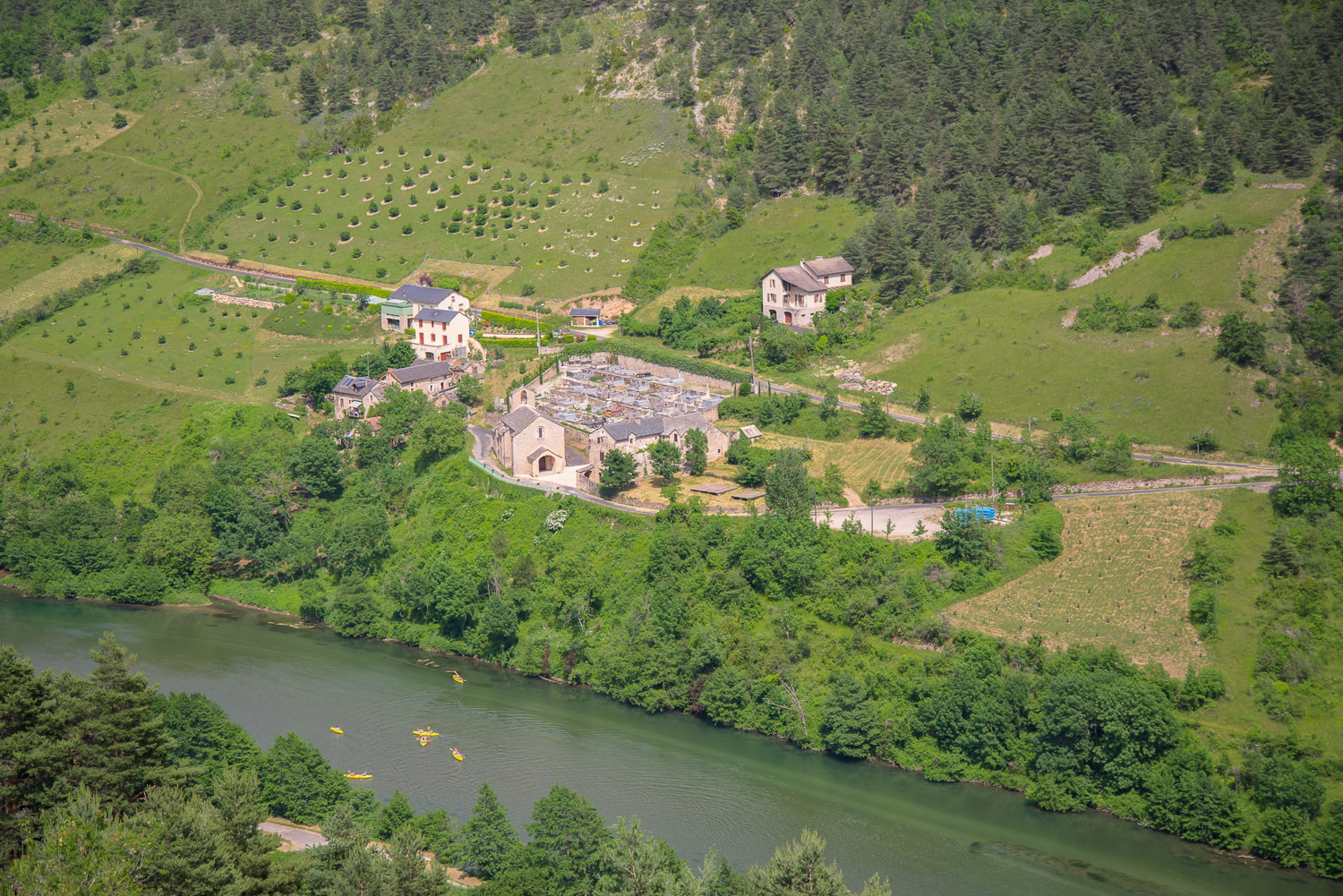 Gorges du tarn Les vignes Lozere Gorges du tarn Les vignes Lozere